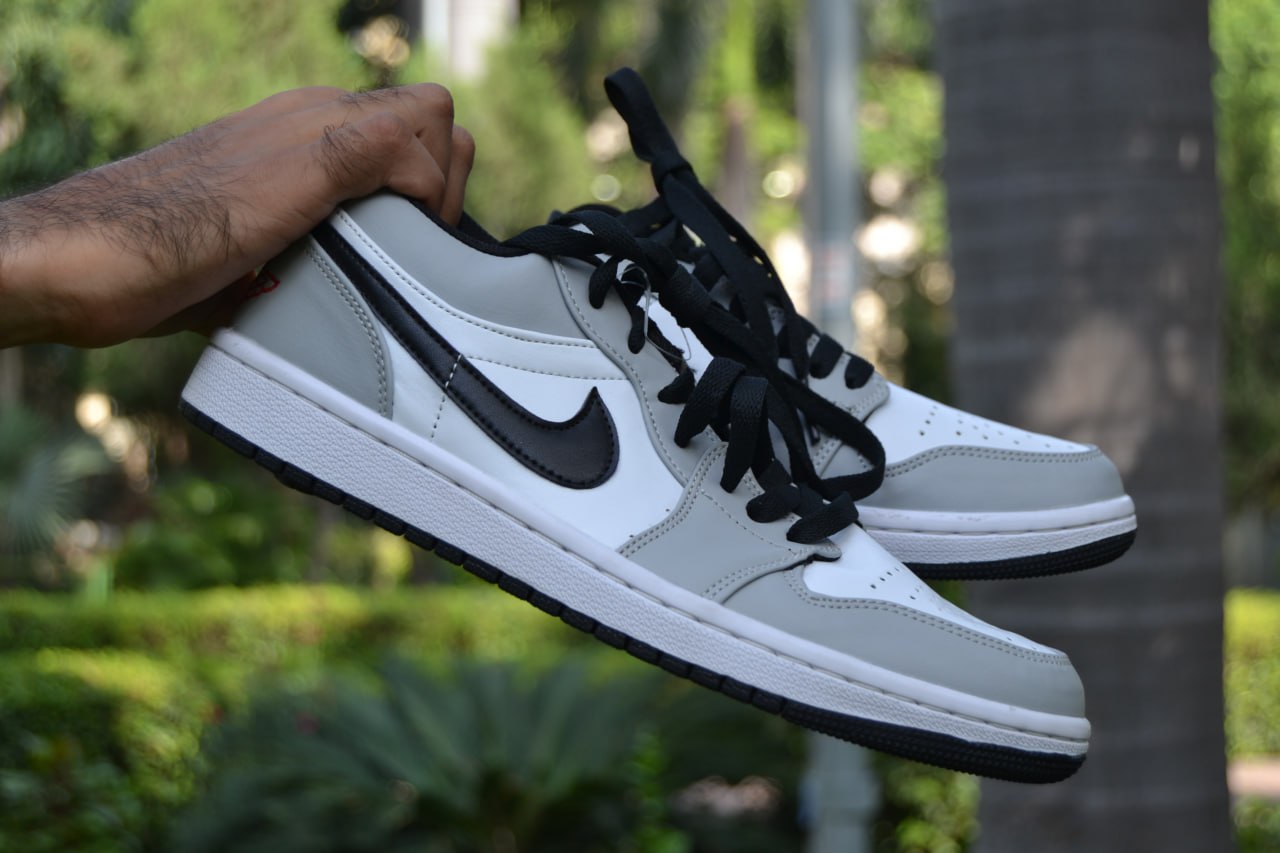 Nike Air Dunk (Stylish Grey)
