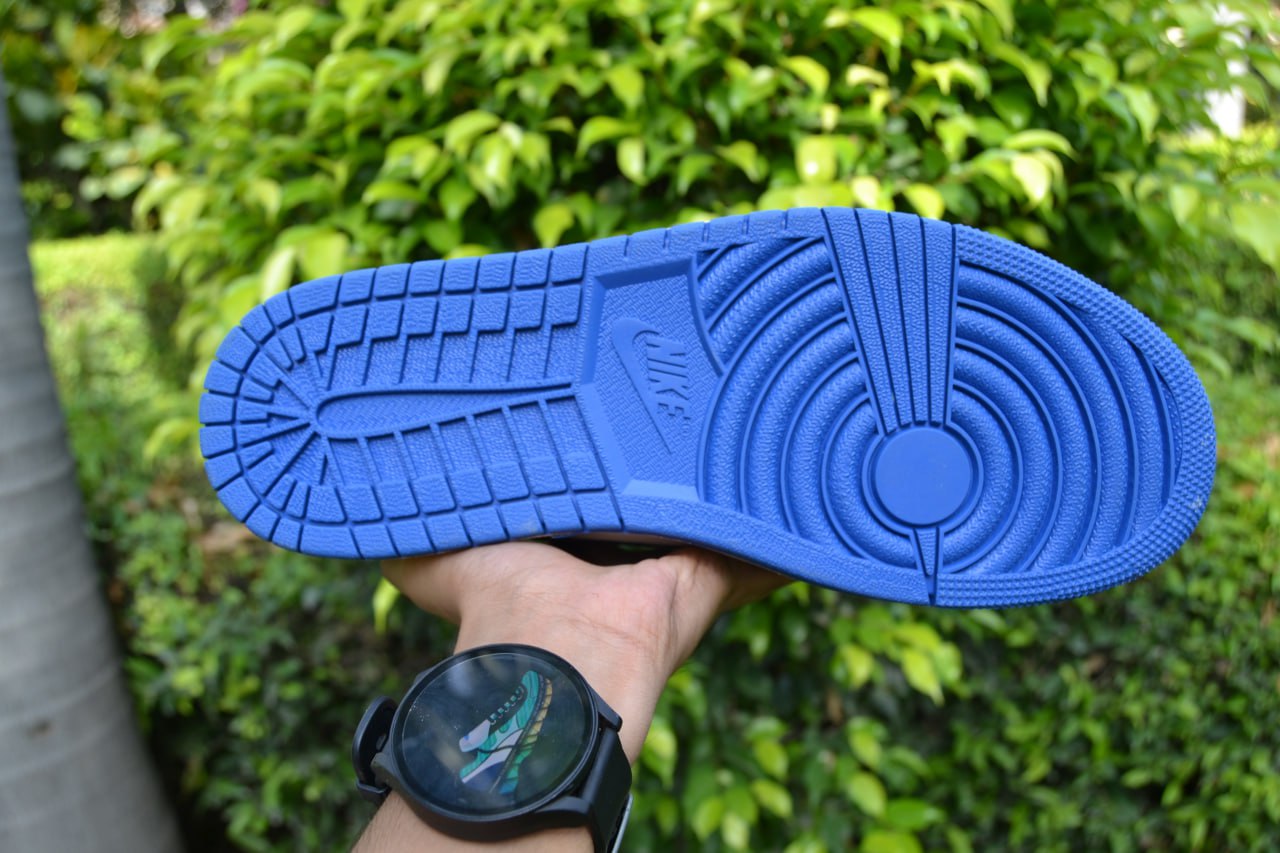 Nike Air Dunk (Tri Color Limited Edition)