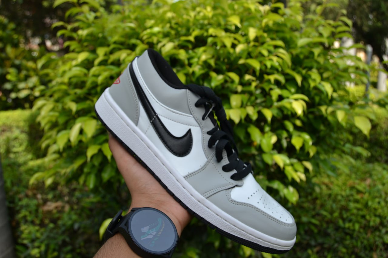Nike Air Dunk (Stylish Grey)