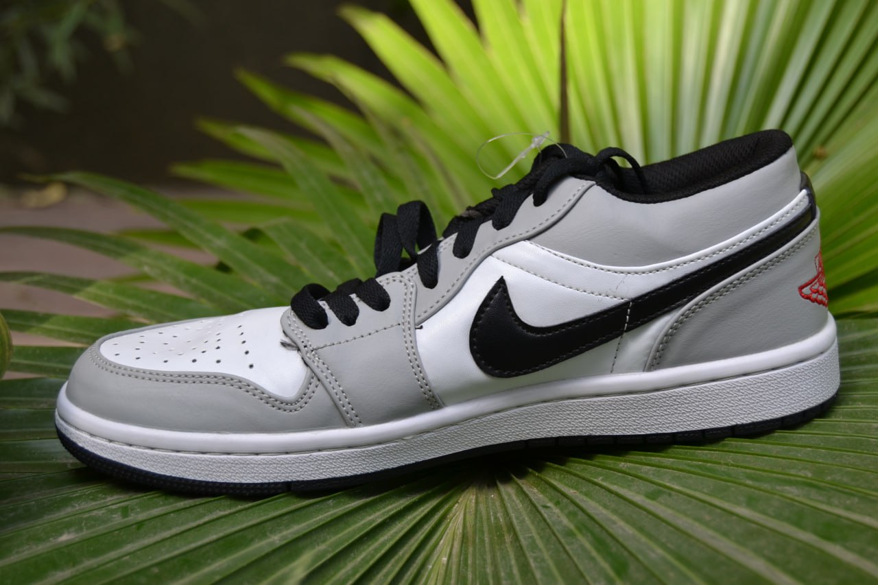 Nike Air Dunk (Stylish Grey)
