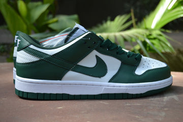 Nike Air Dunk (Stylish Green)